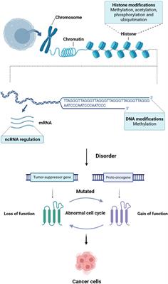 Research progress and applications of epigenetic biomarkers in cancer